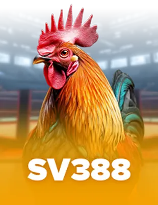 SV388 sabong betting